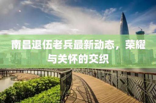 南昌退伍老兵最新动态，荣耀与关怀的交织