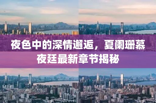 夜色中的深情邂逅，夏阑珊慕夜廷最新章节揭秘