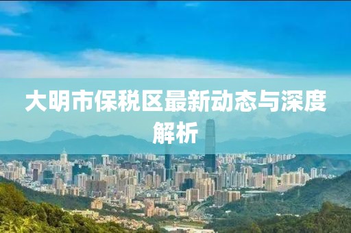 大明市保税区最新动态与深度解析