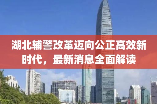 湖北辅警改革迈向公正高效新时代，最新消息全面解读