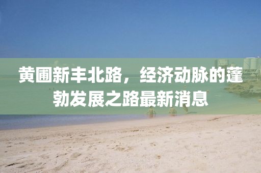 黄圃新丰北路，经济动脉的蓬勃发展之路最新消息