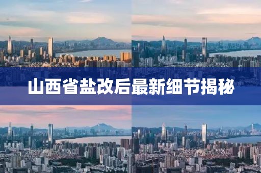 山西省盐改后最新细节揭秘
