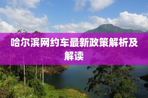 哈尔滨网约车最新政策解析及解读