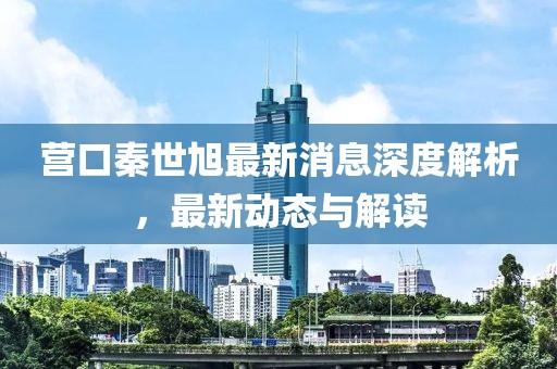 营口秦世旭最新消息深度解析，最新动态与解读