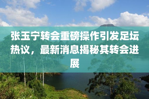 萌面人 第4页
