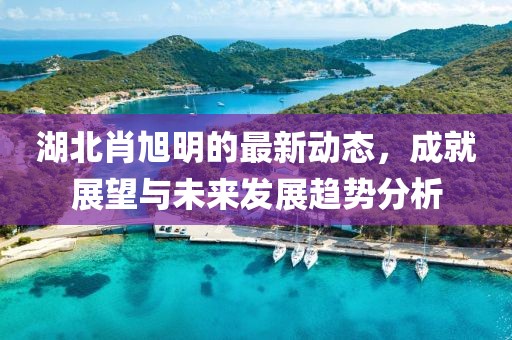 湖北肖旭明的最新动态，成就展望与未来发展趋势分析
