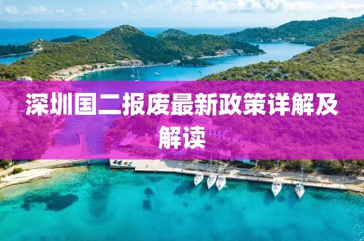 深圳国二报废最新政策详解及解读