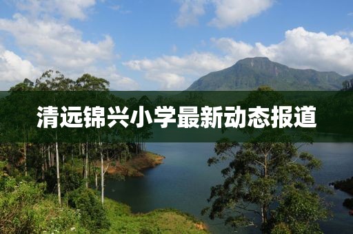 清远锦兴小学最新动态报道