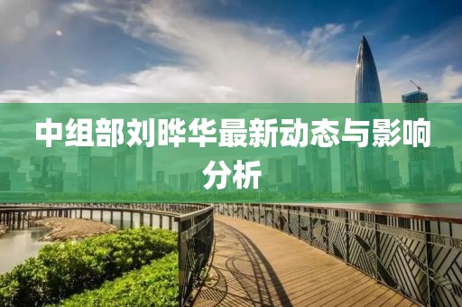 中组部刘晔华最新动态与影响分析