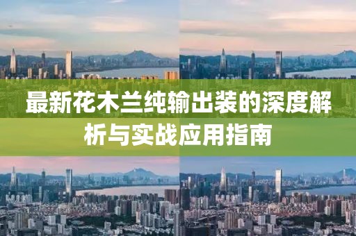 最新花木兰纯输出装的深度解析与实战应用指南