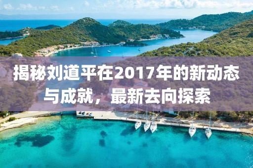 揭秘刘道平在2017年的新动态与成就，最新去向探索