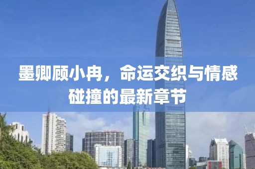 墨卿顾小冉，命运交织与情感碰撞的最新章节