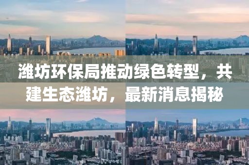 潍坊环保局推动绿色转型，共建生态潍坊，最新消息揭秘