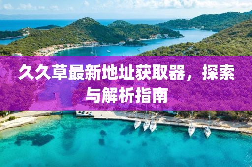 久久草最新地址获取器，探索与解析指南