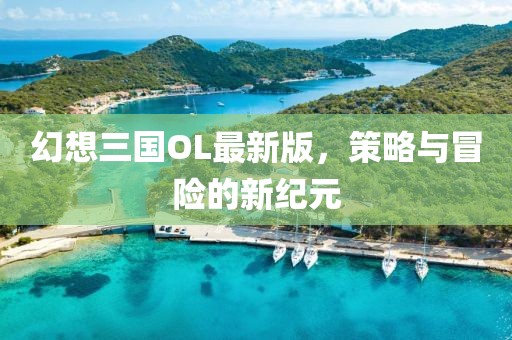幻想三国OL最新版，策略与冒险的新纪元