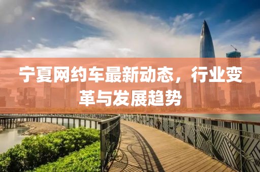 宁夏网约车最新动态，行业变革与发展趋势