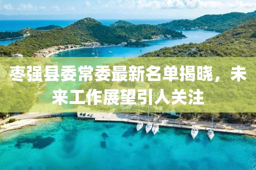 枣强县委常委最新名单揭晓，未来工作展望引人关注