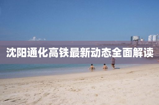 沈阳通化高铁最新动态全面解读