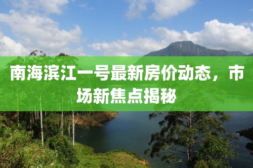 南海滨江一号最新房价动态，市场新焦点揭秘