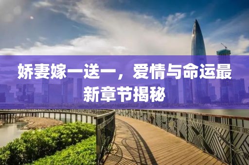 娇妻嫁一送一，爱情与命运最新章节揭秘