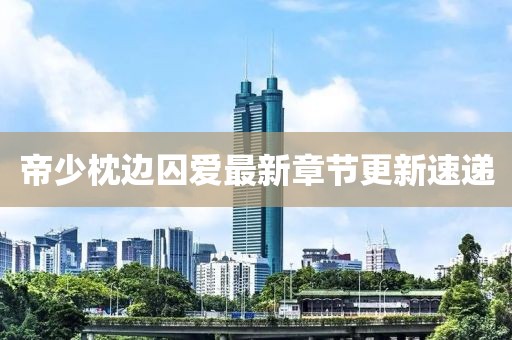 帝少枕边囚爱最新章节更新速递