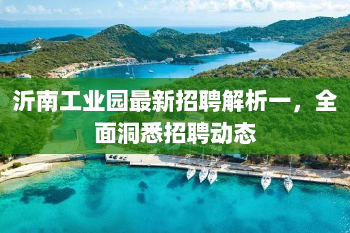 沂南工业园最新招聘解析一，全面洞悉招聘动态