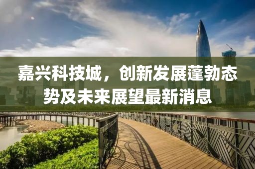 嘉兴科技城，创新发展蓬勃态势及未来展望最新消息