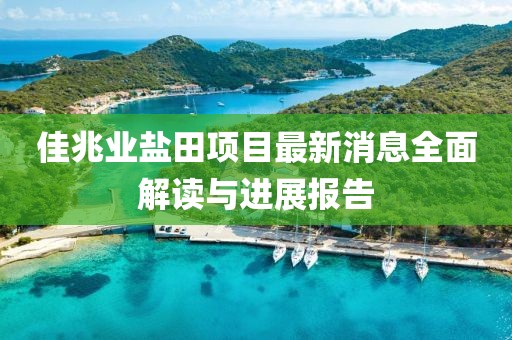 佳兆业盐田项目最新消息全面解读与进展报告