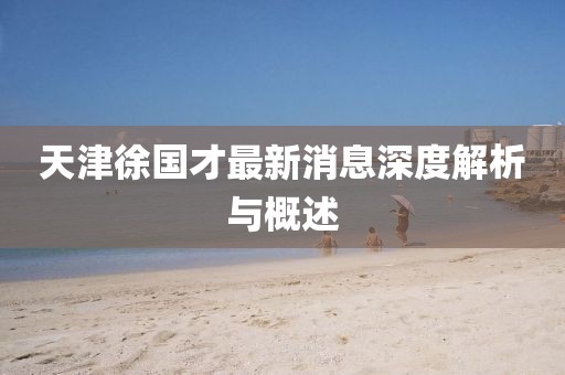 天津徐国才最新消息深度解析与概述