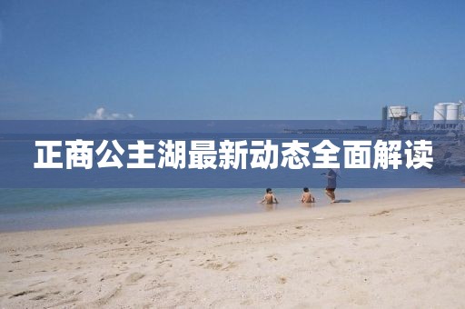 正商公主湖最新动态全面解读