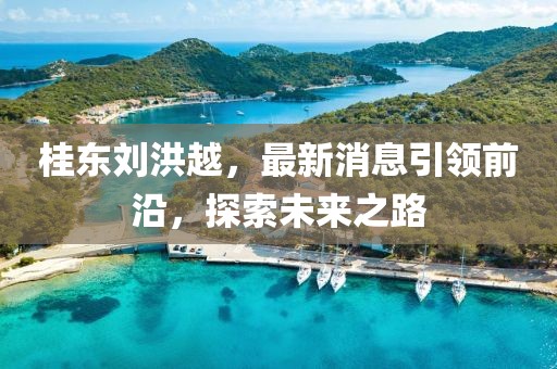 桂东刘洪越，最新消息引领前沿，探索未来之路