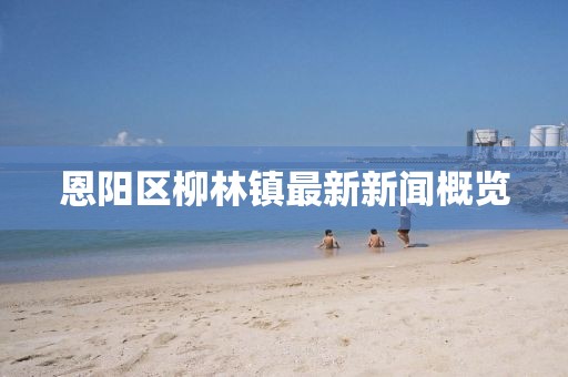 恩阳区柳林镇最新新闻概览