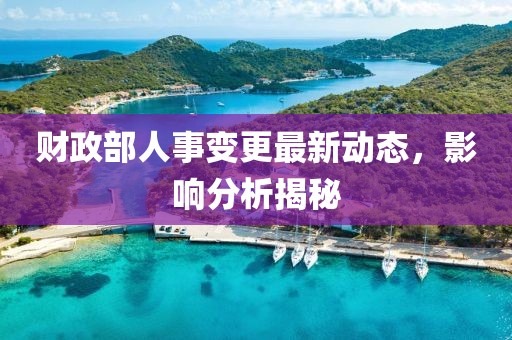 财政部人事变更最新动态，影响分析揭秘