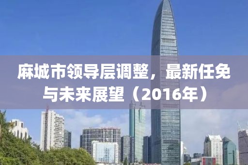 麻城市领导层调整，最新任免与未来展望（2016年）