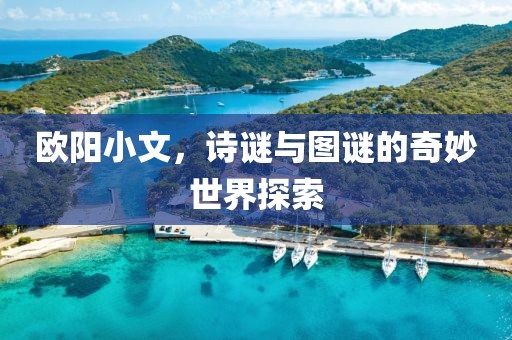 欧阳小文，诗谜与图谜的奇妙世界探索