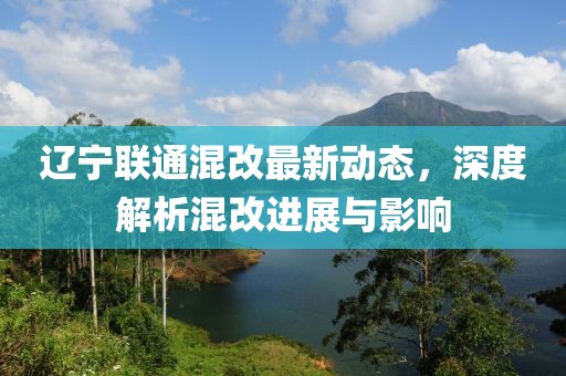 辽宁联通混改最新动态，深度解析混改进展与影响