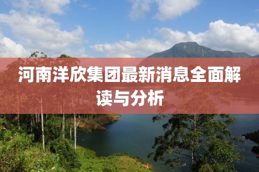 河南洋欣集团最新消息全面解读与分析