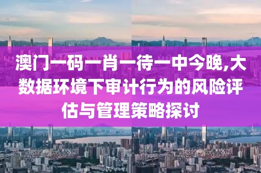 澳门一码一肖一待一中今晚,大数据环境下审计行为的风险评估与管理策略探讨