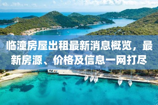 狐小狸 第4页