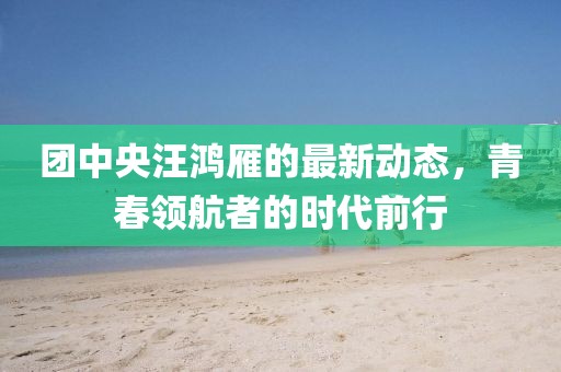 团中央汪鸿雁的最新动态，青春领航者的时代前行