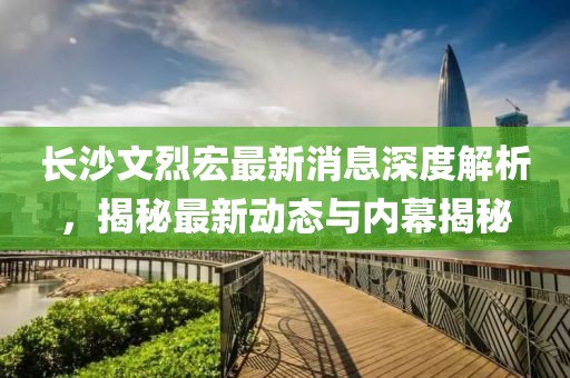 长沙文烈宏最新消息深度解析，揭秘最新动态与内幕揭秘