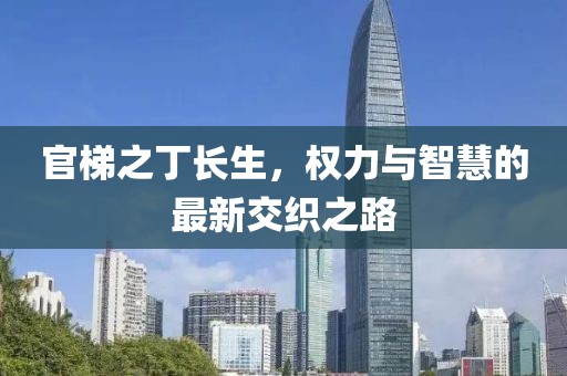 官梯之丁长生，权力与智慧的最新交织之路