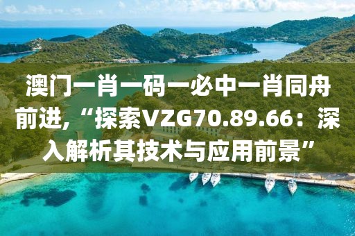 澳门一肖一码一必中一肖同舟前进,“探索VZG70.89.66：深入解析其技术与应用前景”