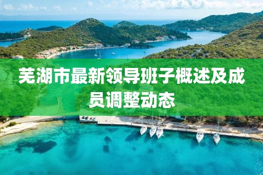 芜湖市最新领导班子概述及成员调整动态
