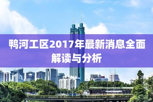 鸭河工区2017年最新消息全面解读与分析