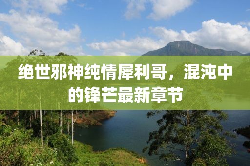 绝世邪神纯情犀利哥，混沌中的锋芒最新章节