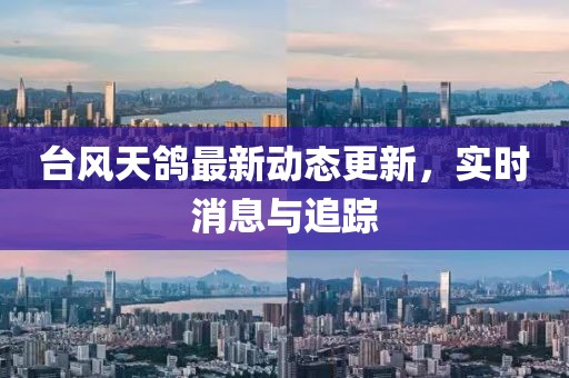 台风天鸽最新动态更新，实时消息与追踪