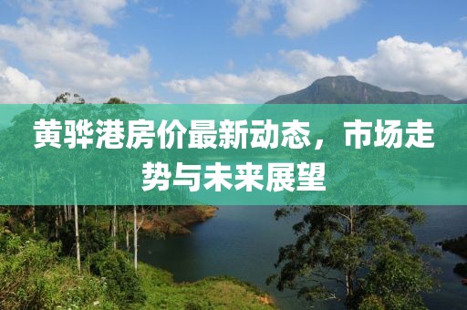 黄骅港房价最新动态，市场走势与未来展望