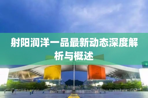 射阳润洋一品最新动态深度解析与概述