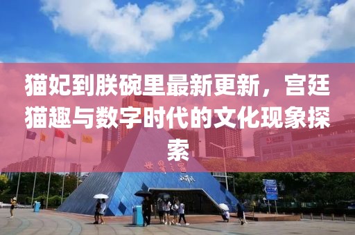 猫妃到朕碗里最新更新，宫廷猫趣与数字时代的文化现象探索